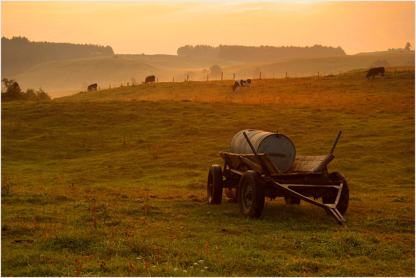 Podlaskie klimaty