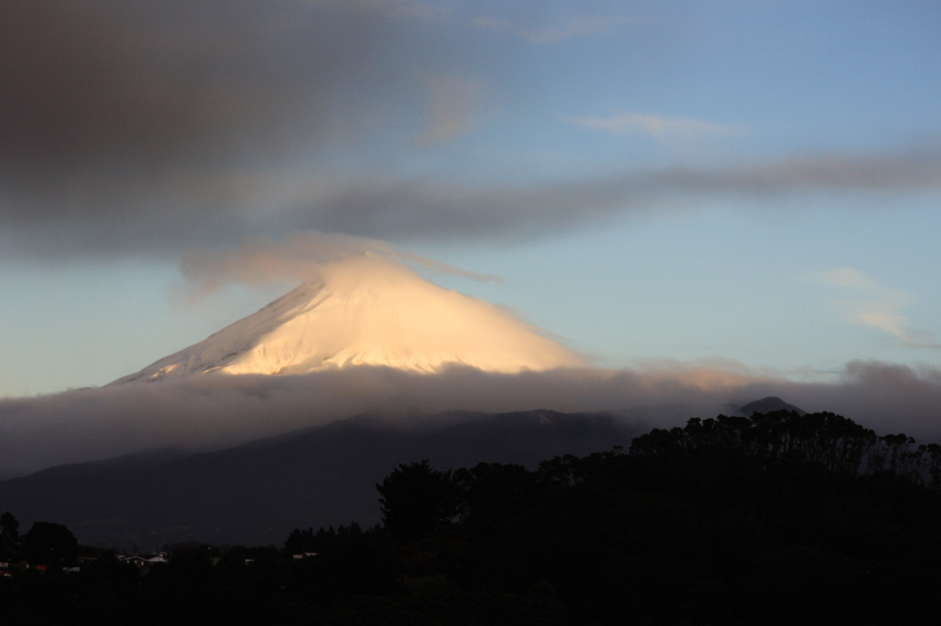 Taranaki Sunshine