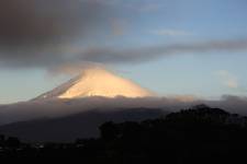 Taranaki Sunshine