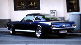 Mustang