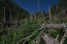 Słowackie Tatry- kolejny plener 9