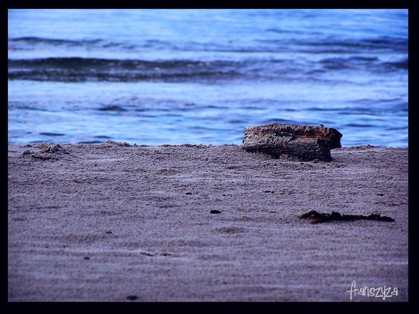 drewienko na plaży:)