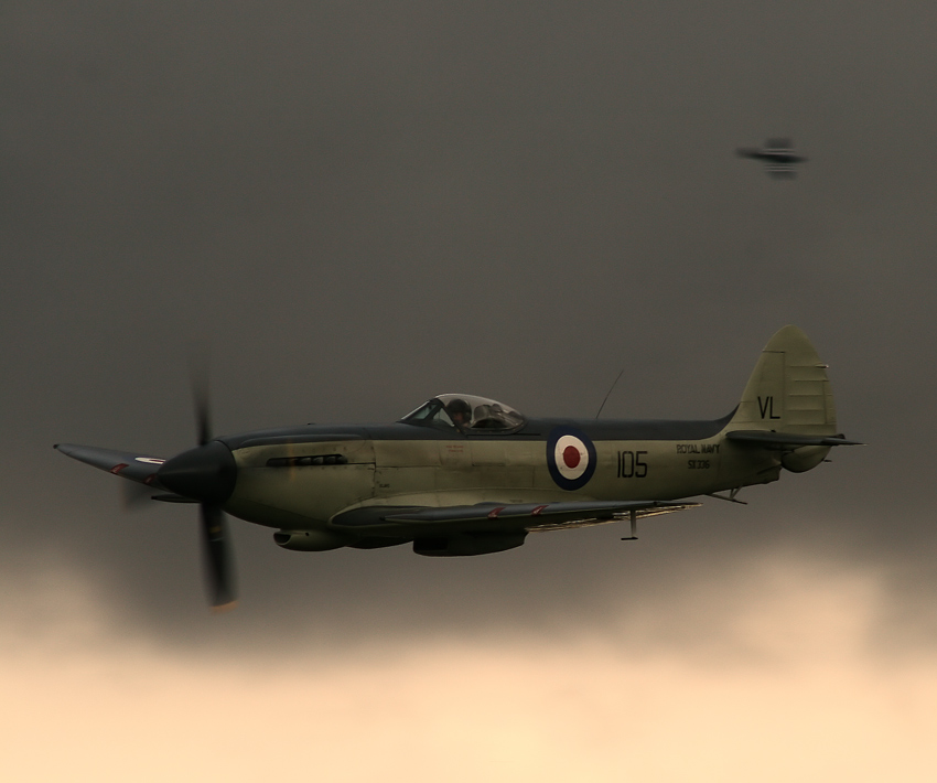 Seafire