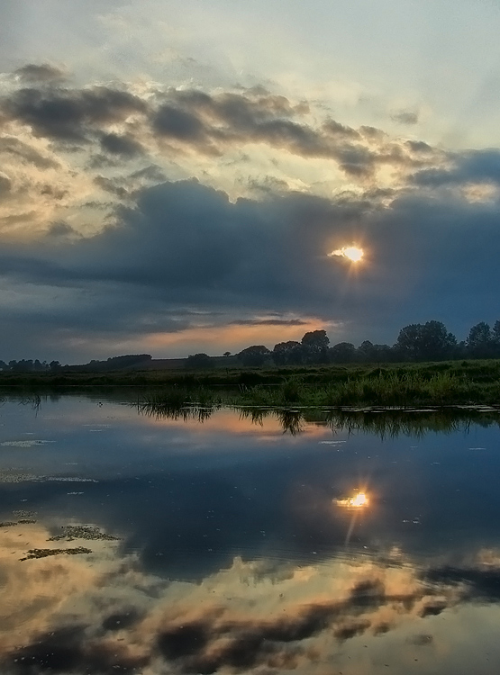 Narew - dzika rzeka