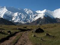 Pamir 2008