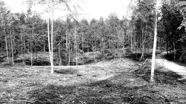 Mazury
