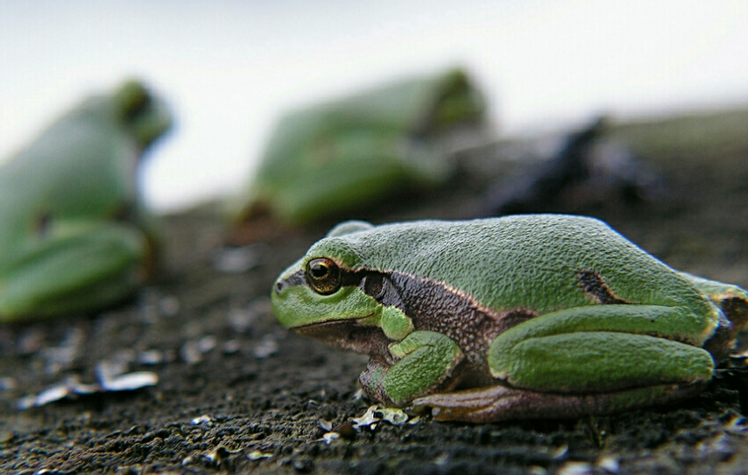 Odpoczynek