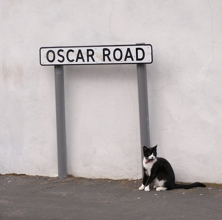 Oscar Road