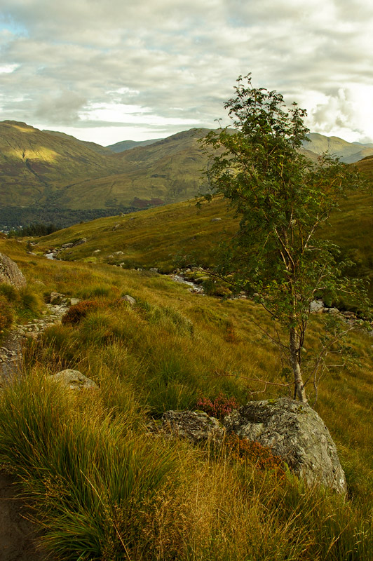 Arrochar