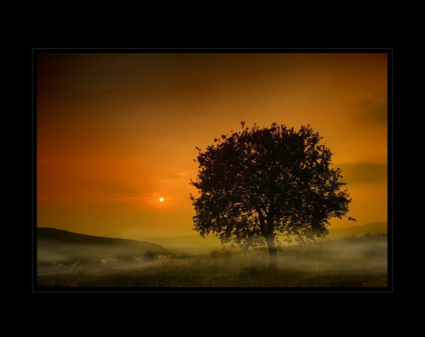 Slovak autumn