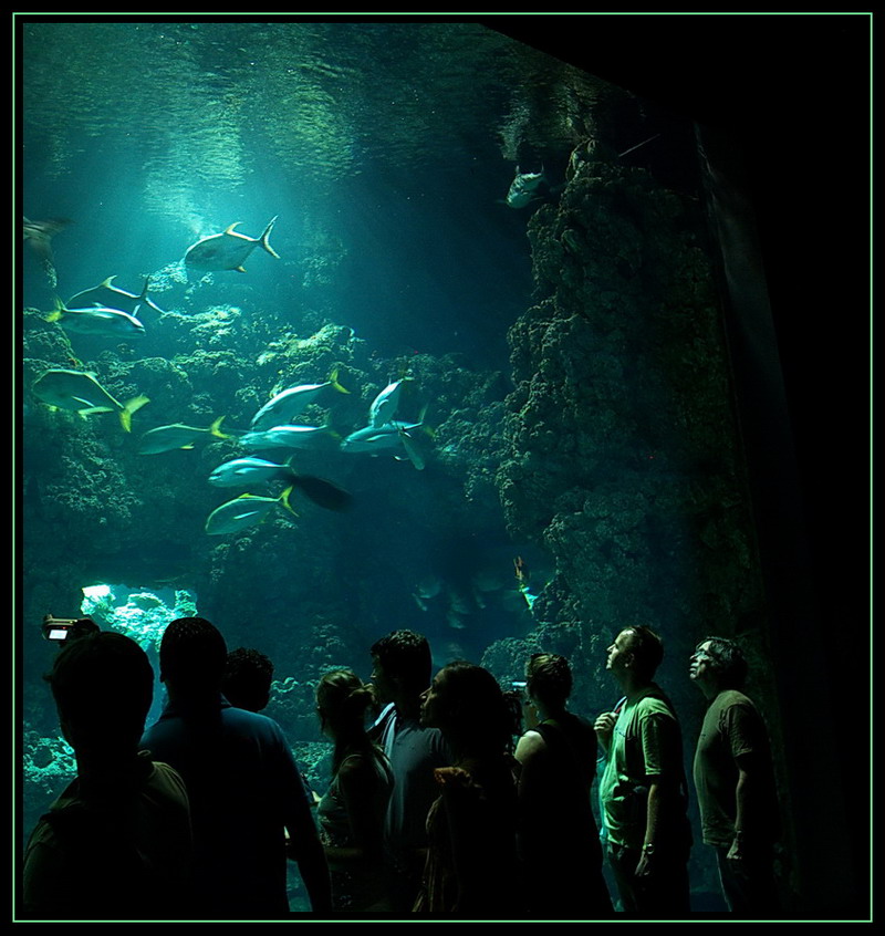 W oceanarium