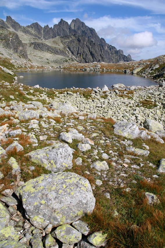 Starolesnianskie Pleso - w tle Strzelecka Turnia