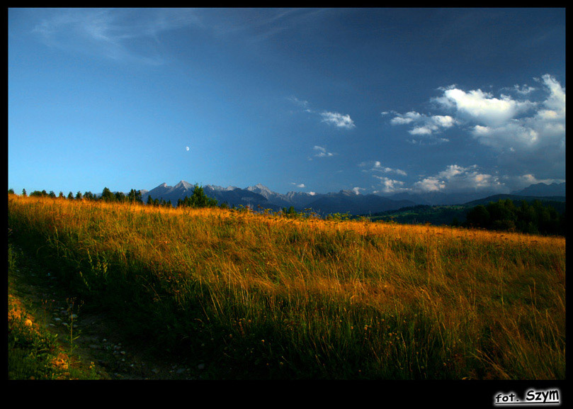 Widok na Tatry