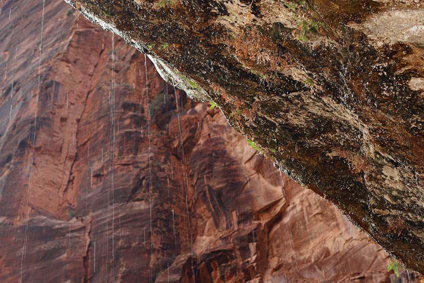 Weeping Rock - Zion