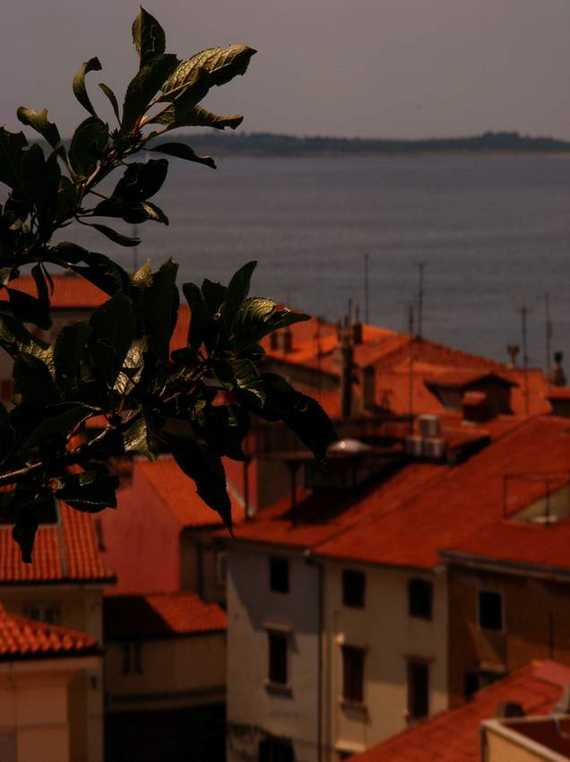 Piran