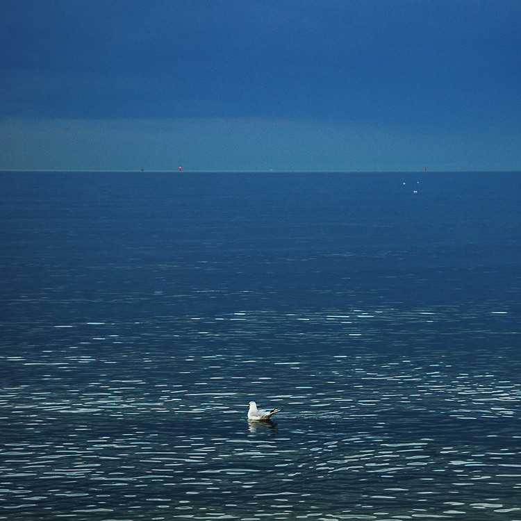 samotność / loneliness