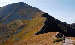 W drodze na Starorobociański (Tatry Zachodnie)