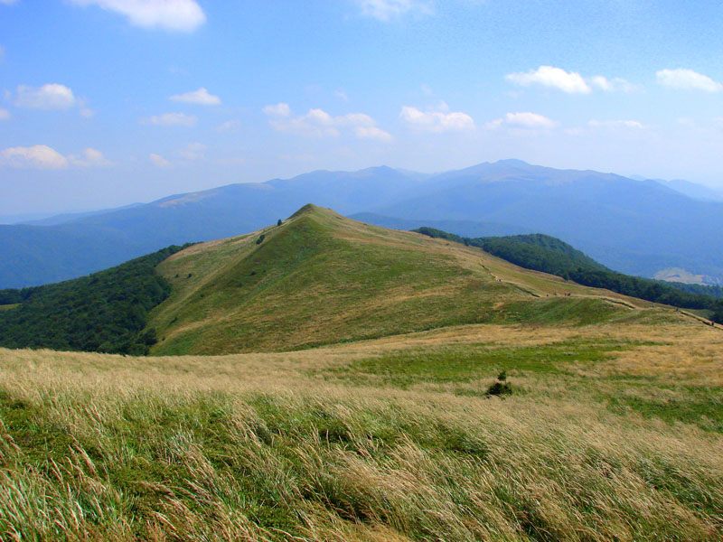 Połonina Caryńska 1297m n.p.m