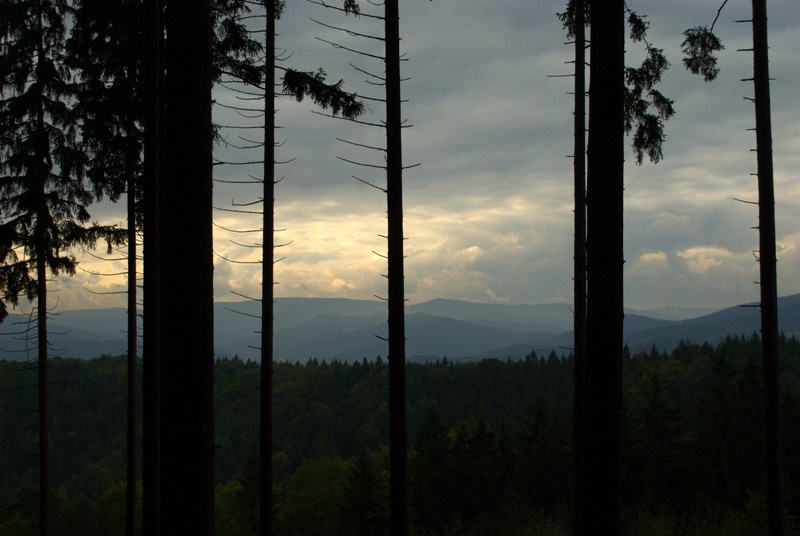 w drodze na Zlaty Chlum