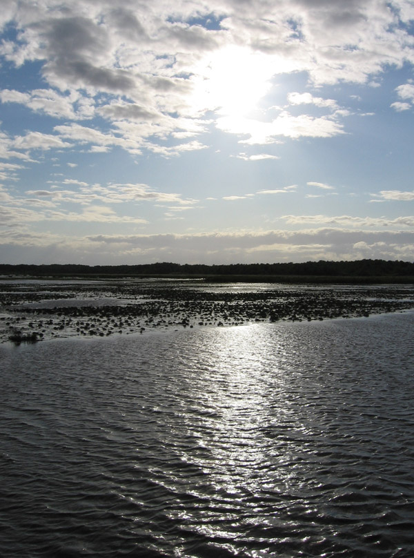 mazury