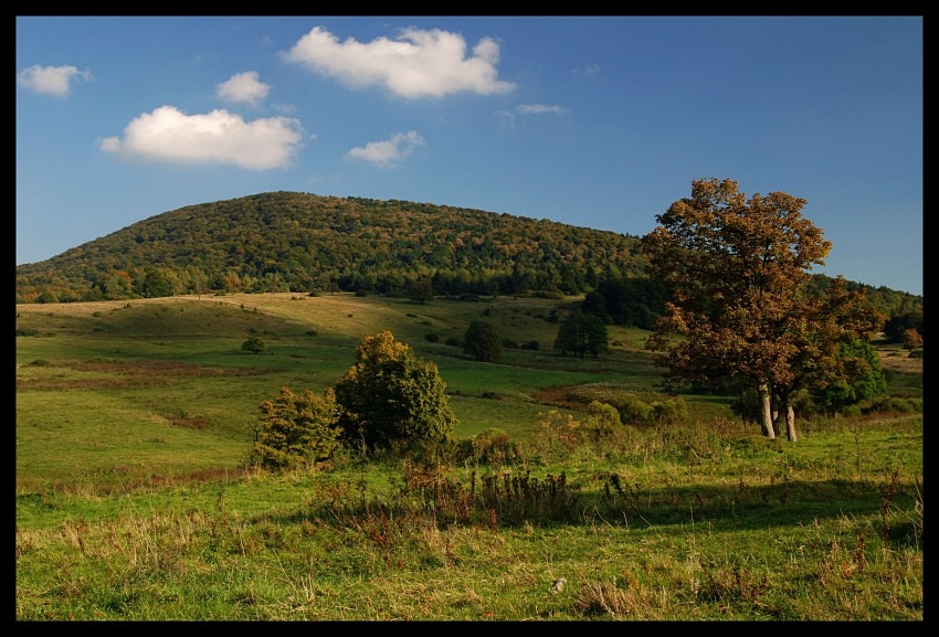 Regetów Wyżny (Beskid Niski)