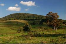 Regetów Wyżny (Beskid Niski)