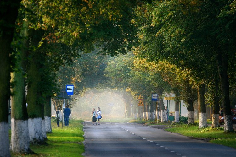 droga do szkoły