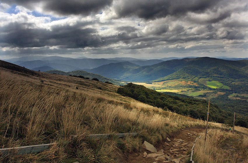 **Bieszczady***