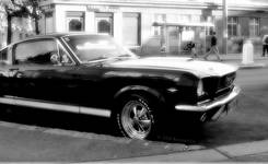 Mustang 2