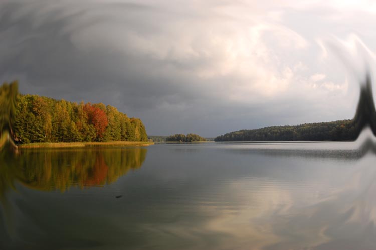 Maradki na jesień