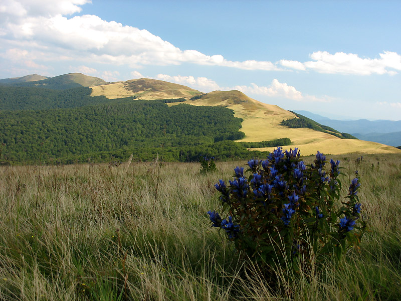 Bieszczady Wschodnie