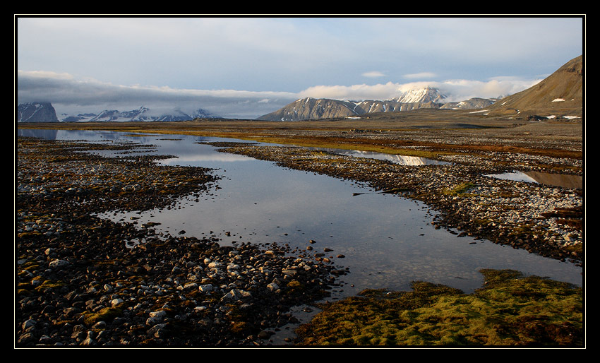 Tundra