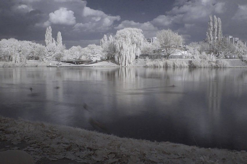 szczęśliwice z ir-enką