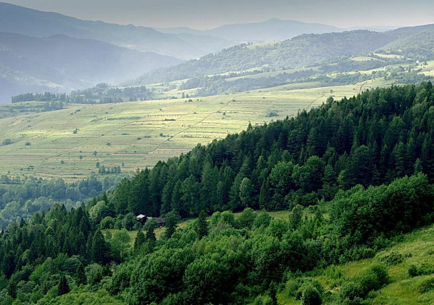 Pieniny