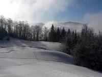 Krocząc samotnie przez śnieg