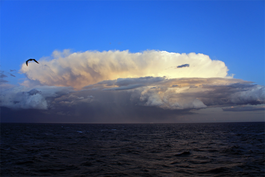 Cumulonimbus