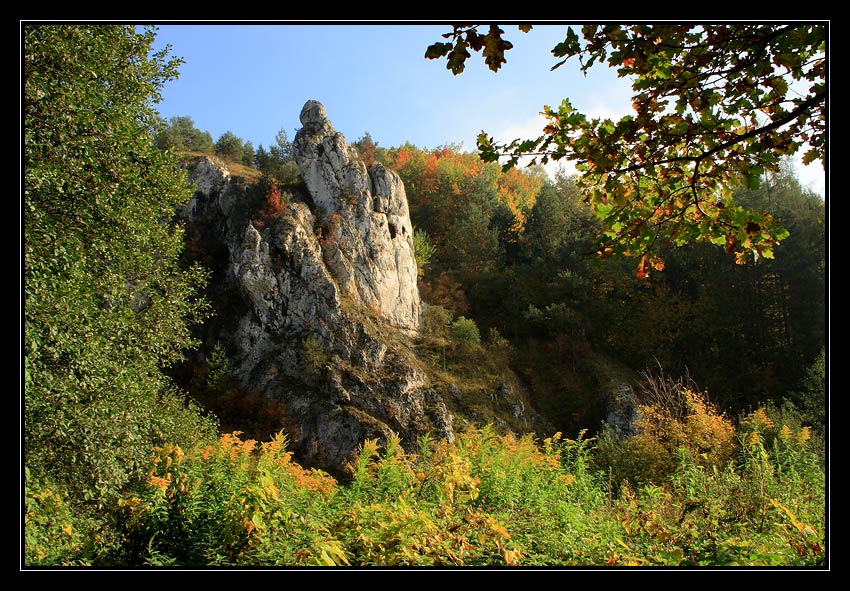 Jesień w Kobylanach