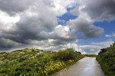 Natuur park