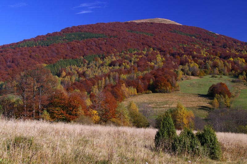 Kolory jesieni.