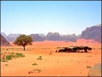 Pustynia Wadi Rum