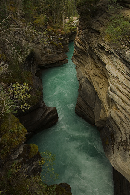 wodospady Athabasca River