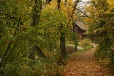 Jesień w Muzeum I