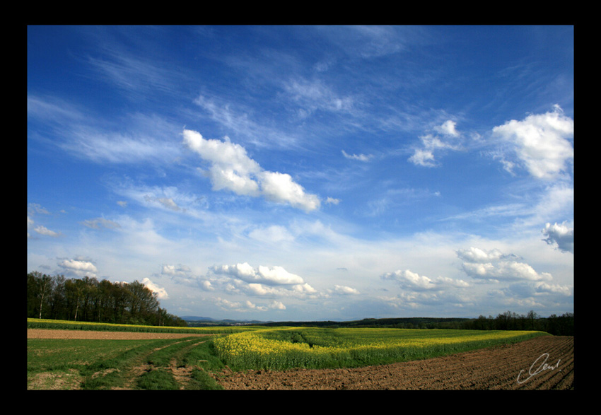 Radość