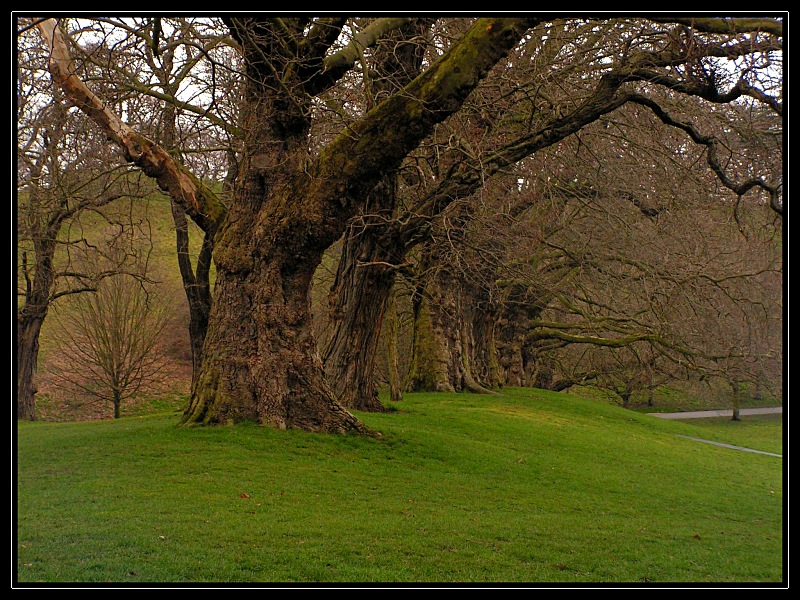 Park na Grinłicz