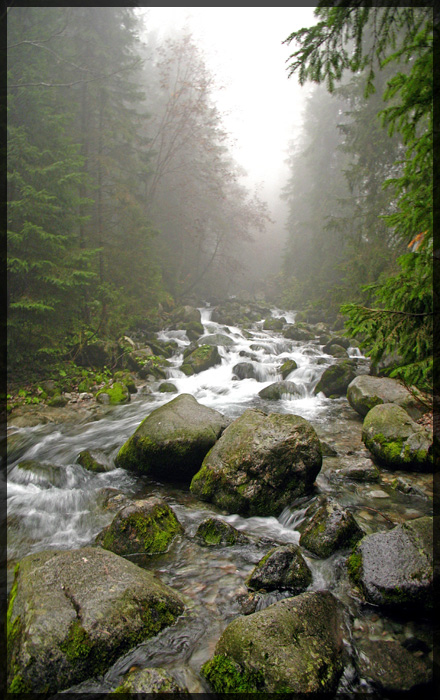 Tatry