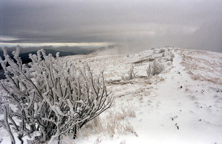 Bieszczady.... Połonina......