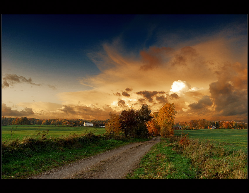 Beauty Of Autumn