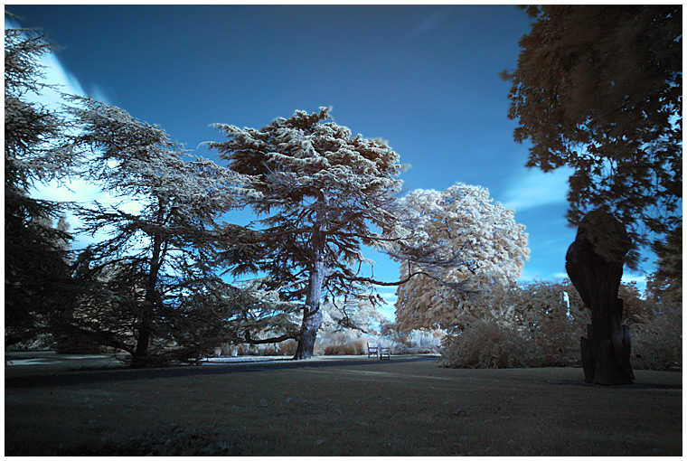 Park - IR