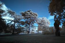 Park - IR