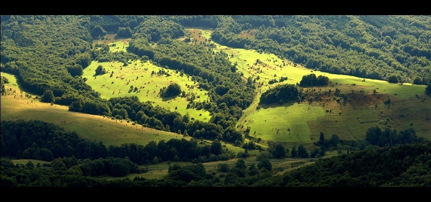 Bieszczady